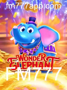 Explore as Maravilhas do WonderElephant